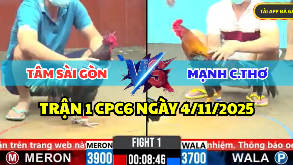 trận 1 bồ gà cpc6 ngày 4/11/2025 hôm nay