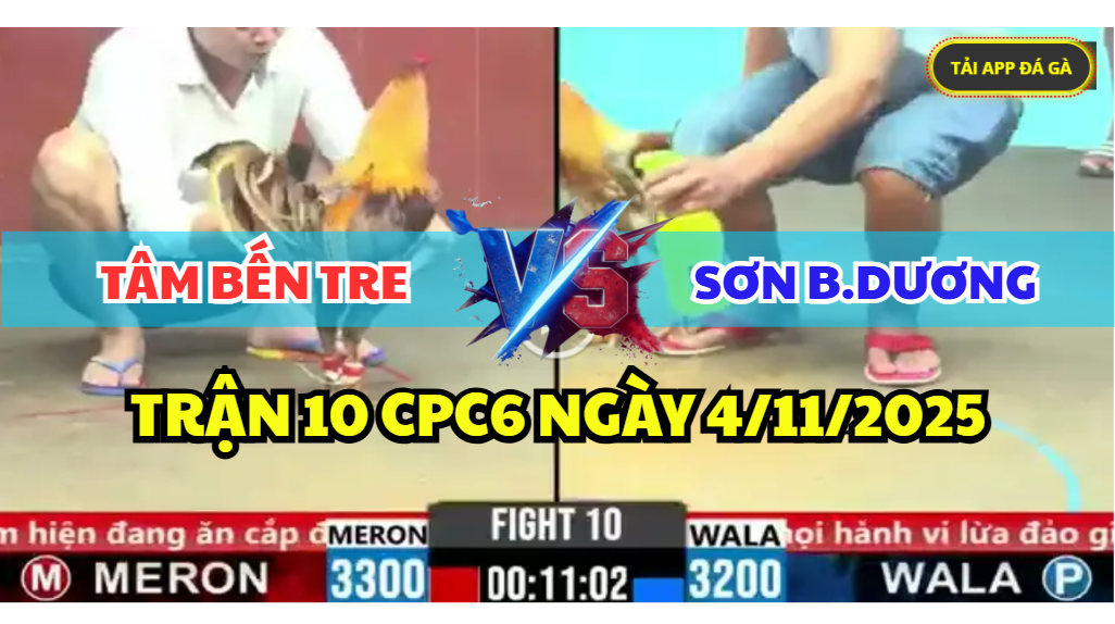 trận 10 cpc6 ngày 4/11/2025 hôm nay