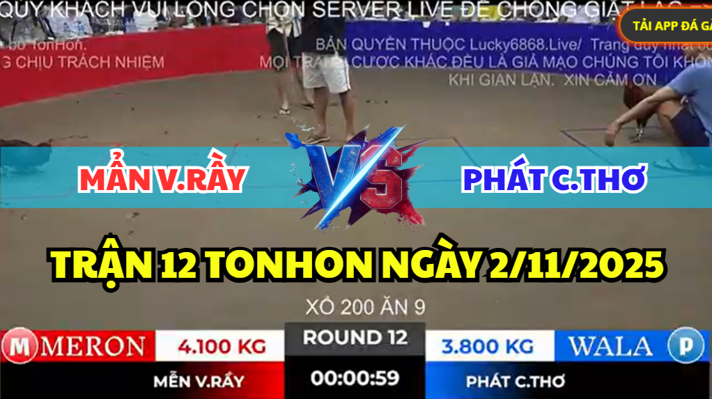 trận 12 bồ gà tonhon ngày 2/11/2025 hôm nay