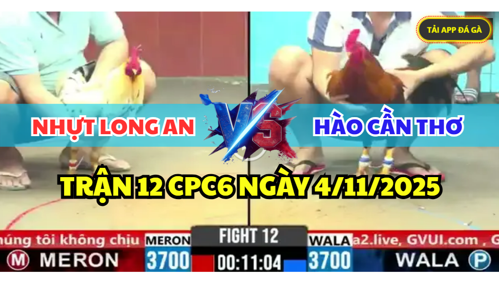 trận 12 cpc6 ngày 4/11/2025 hôm nay
