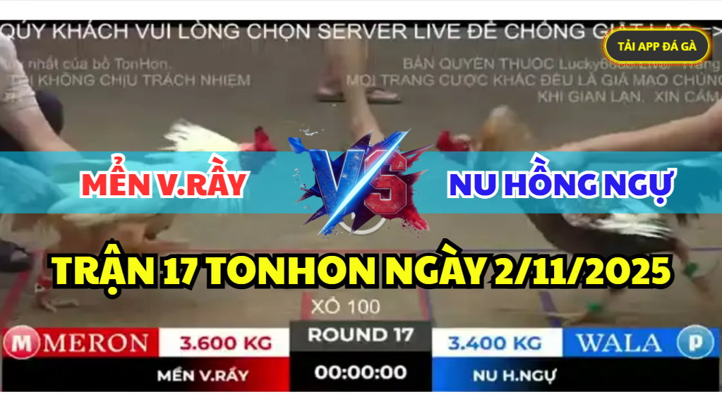 trận 17 bồ gà tonhon ngày 2/11/2025 hôm nay