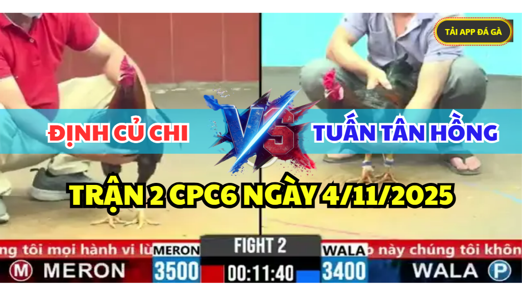 trận 2 cpc6 ngày 4/11/2025 hôm nay
