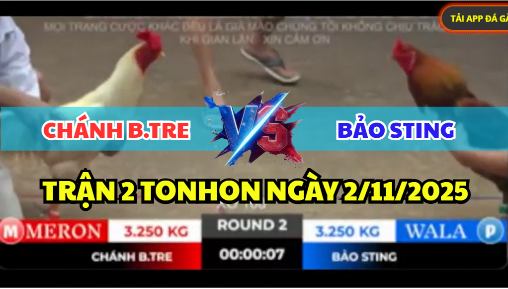 trận 2 tonhon ngày 2/11/2025 hôm nay