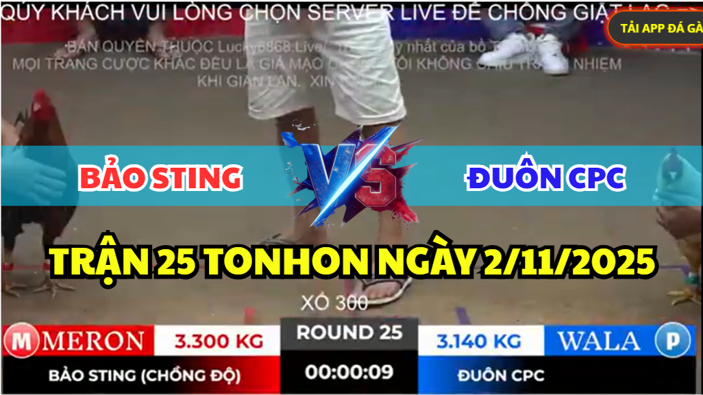 trận 25 bồ gà tonhon ngày 2/11/2025 hôm nay