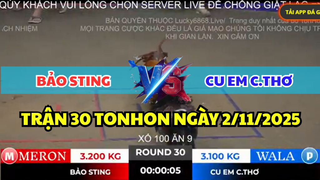 trận 30 bồ gà tonhon ngày 2/11/2025 hôm nay