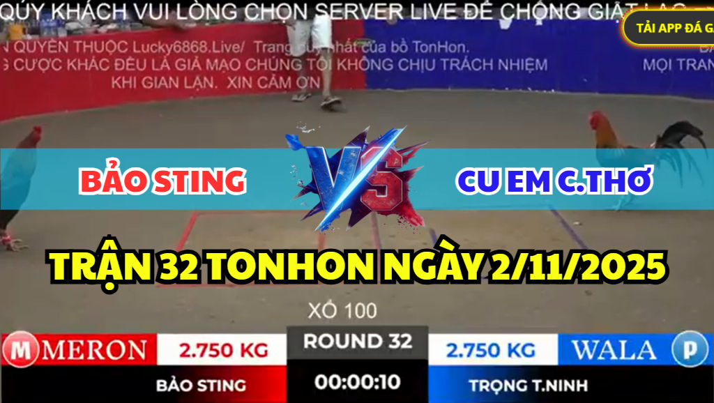 trận 32 bồ gà tonhon ngày 2/11/2025 hôm nay
