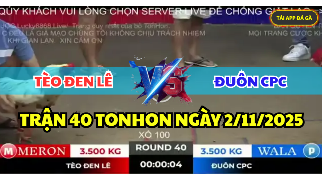 trận 40 bồ gà tonhon ngày 2/11/2025 hôm nay