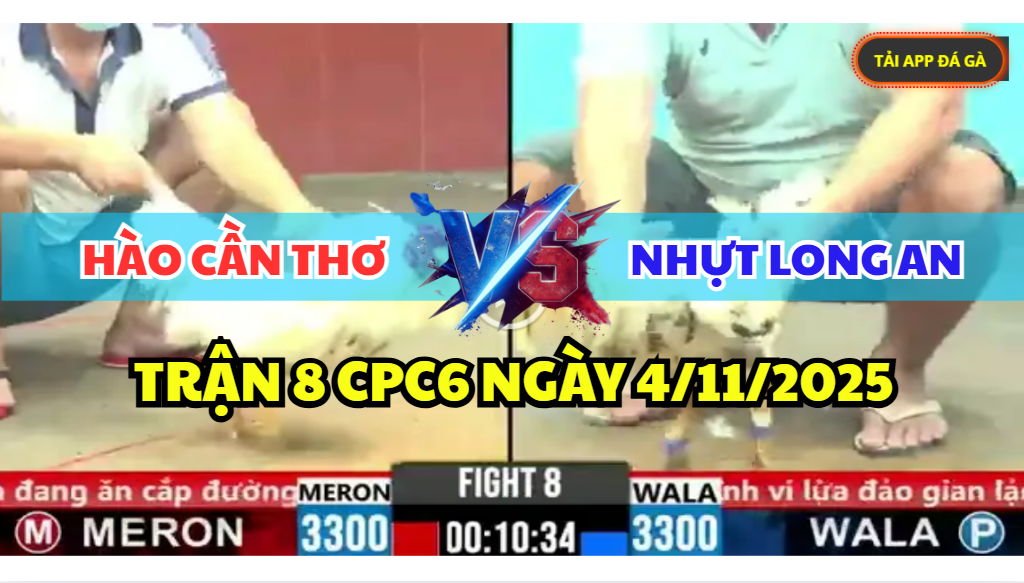 trận 8 cpc6 ngày 4/11/2025 hôm nay
